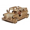 dune buggy cm19x11